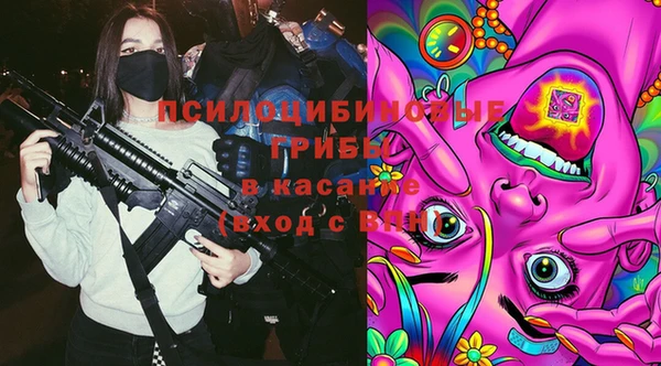 дмт Аркадак