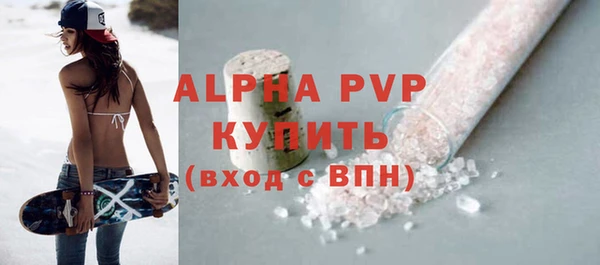 шишки Арсеньев