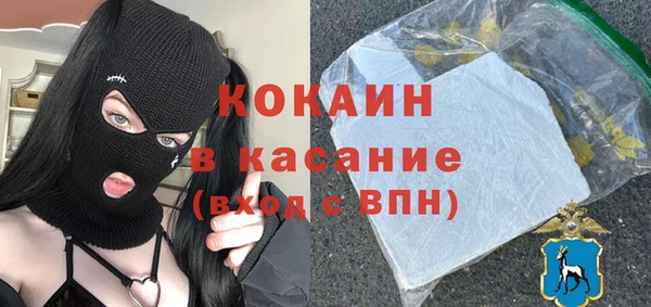 шишки Арсеньев