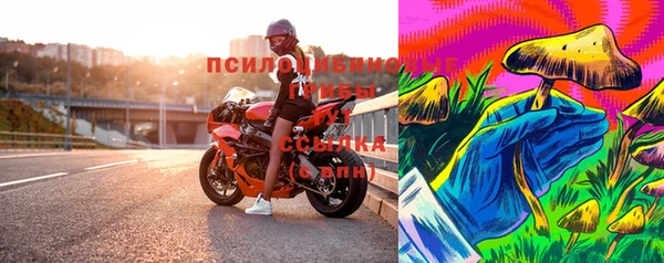 дмт Аркадак