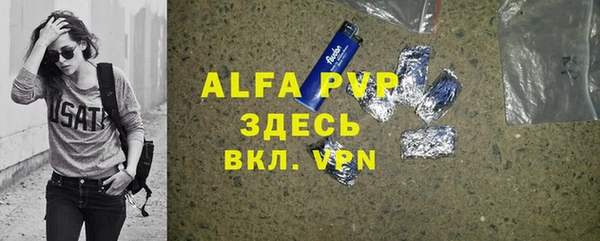 шишки Арсеньев