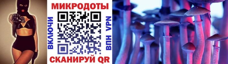 Купить где  Биробиджан  Галлюциногенные грибы Magic Shrooms 