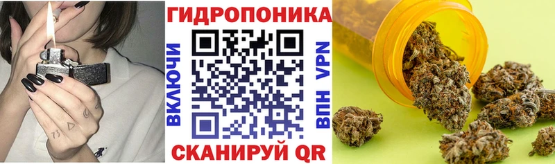 Купить где  Биробиджан  Канабис THC 21% 